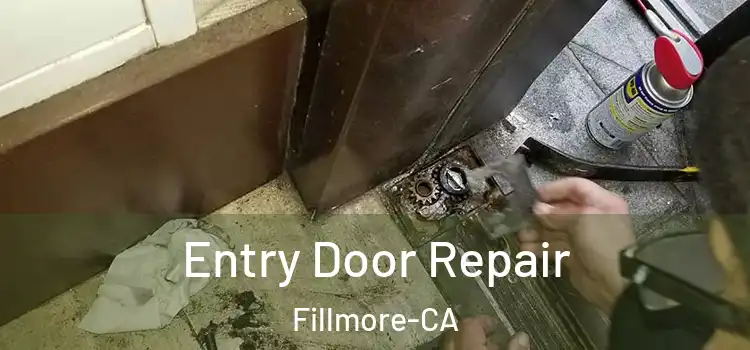  Entry Door Repair Fillmore-CA
