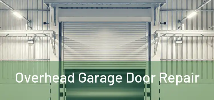  Overhead Garage Door Repair 